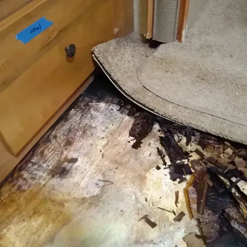 Best Wood Floor Water Damage Service in Orange Park, FL